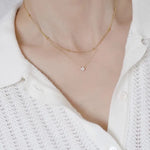 Gargantilha Dupla em Aço Inoxidável com Zircão, Colar Feminino, Colar Feminino de Aço Inox, Gargantilha de Aço Inox, Gargantilha Com Zircão, Loja Acessora